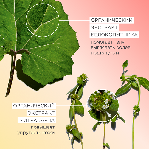 Крем для повышения упругости кожи тела Body Firming купить в VISAGEHALL