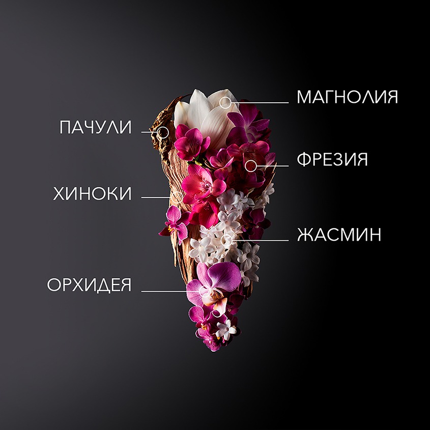 Ginza Парфюмерная вода купить в VISAGEHALL