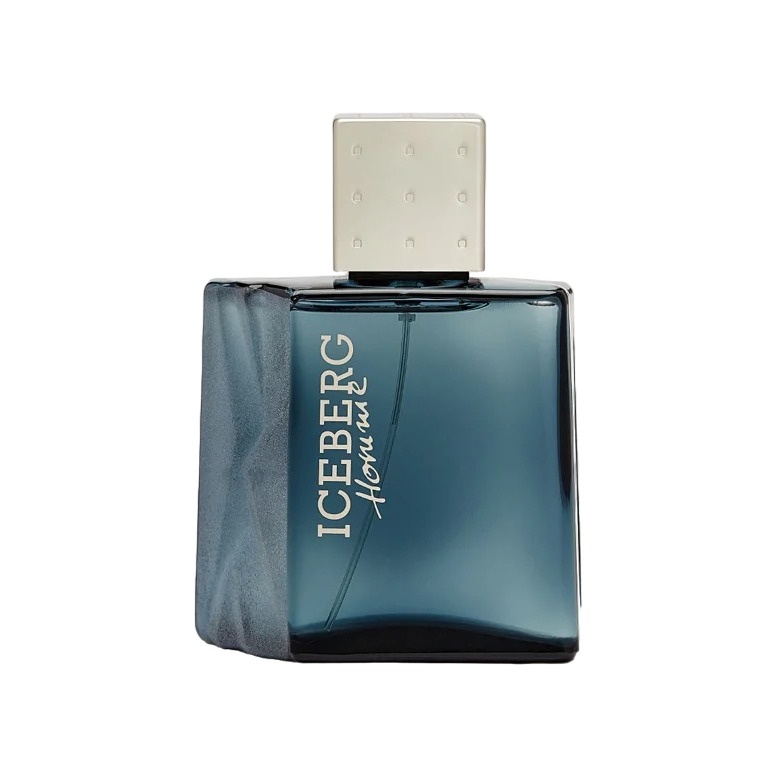 Homme For Him Туалетная вода купить в VISAGEHALL
