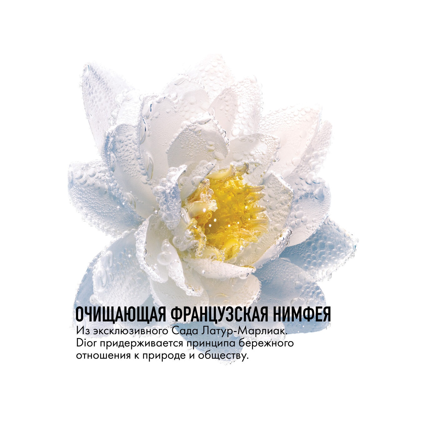 Мицеллярная вода для снятия макияжа с экстрактом нимфеи L`Eau Demaquillante  купить в VISAGEHALL