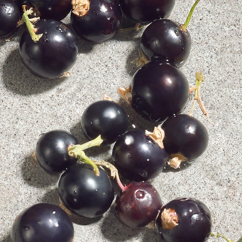 Dolce Violet Туалетная вода купить в VISAGEHALL