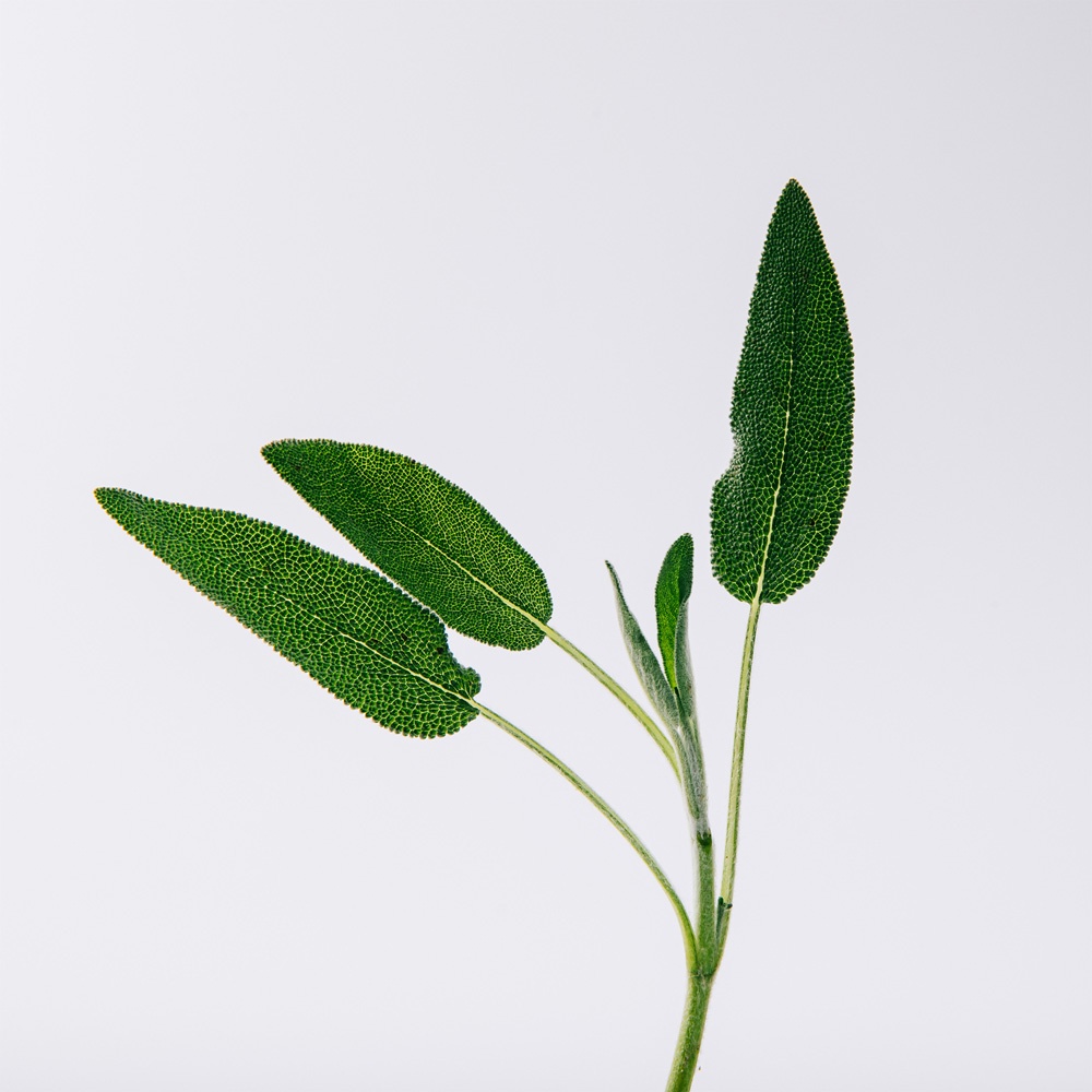 Solo Vulcan Парфюмерная вода купить в VISAGEHALL