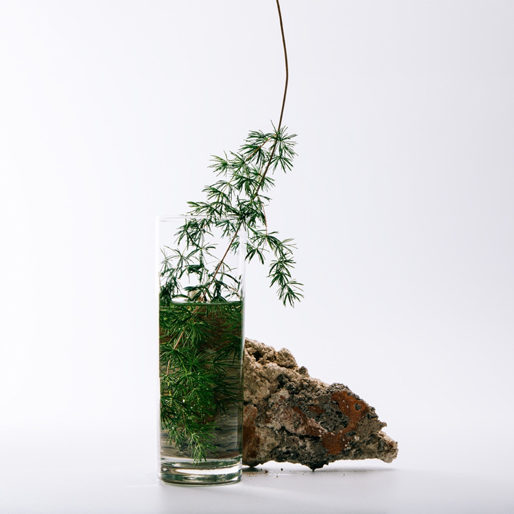 Solo Cedro Туалетная вода купить в VISAGEHALL