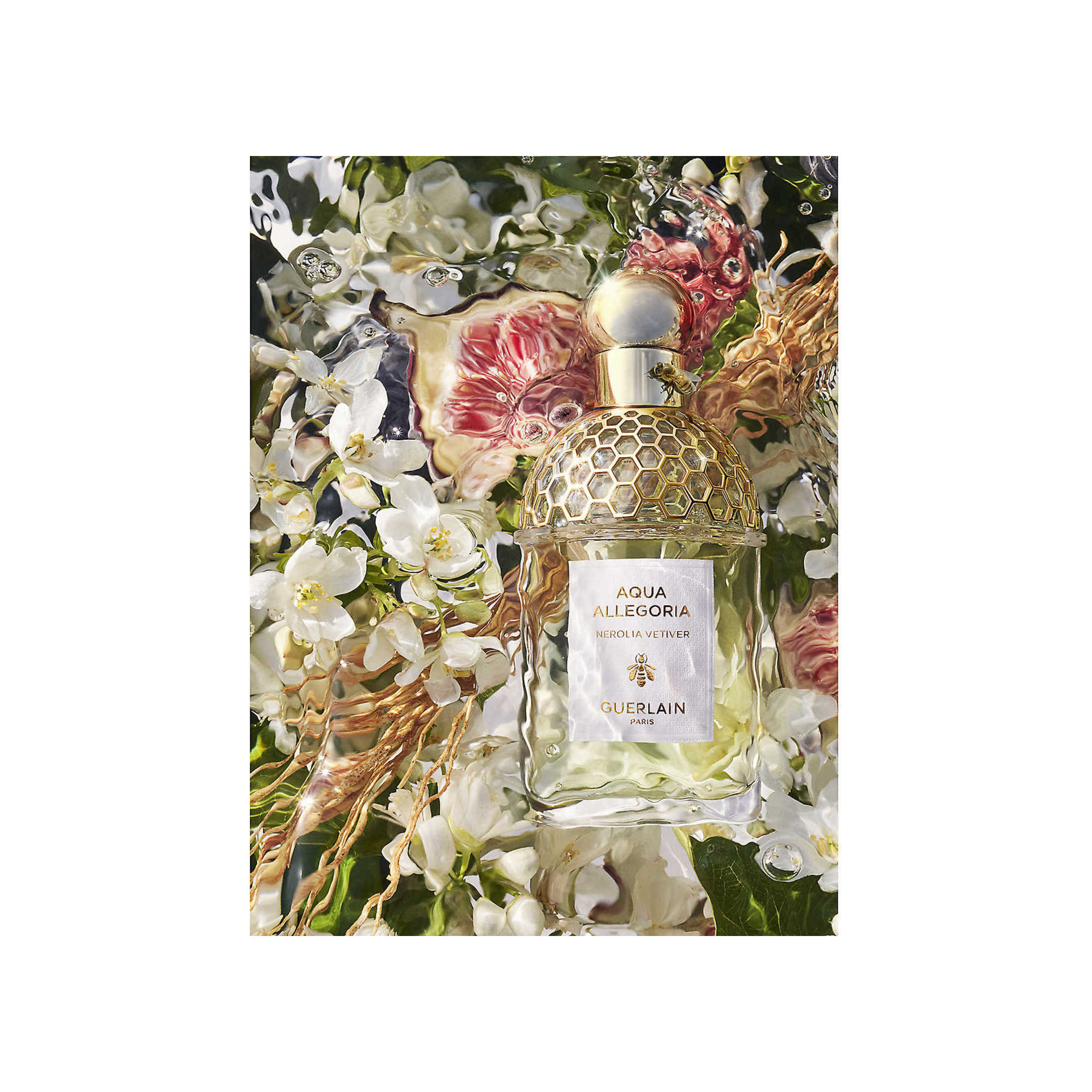 Aqua Allegoria Nerolia Vetiver Туалетная вода купить в VISAGEHALL