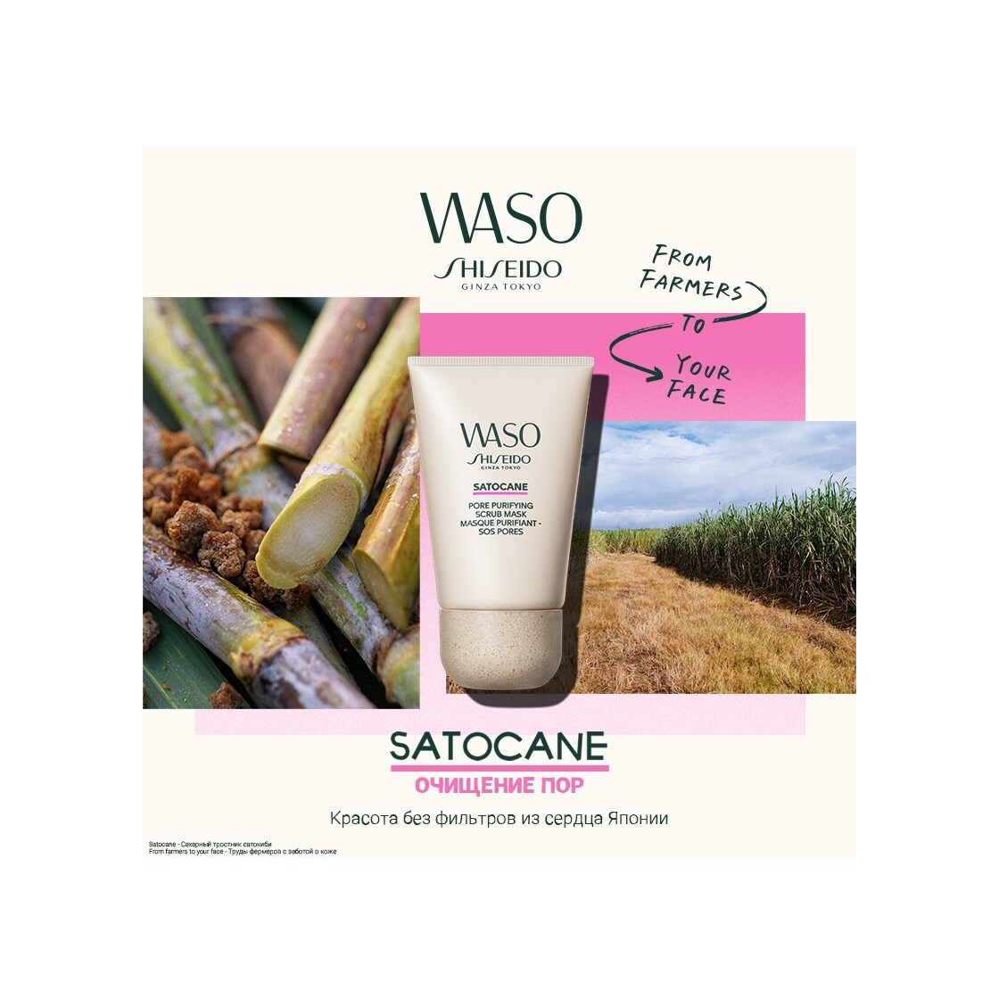 Маска-скраб для глубокого очищения пор Waso Satocane  купить в VISAGEHALL