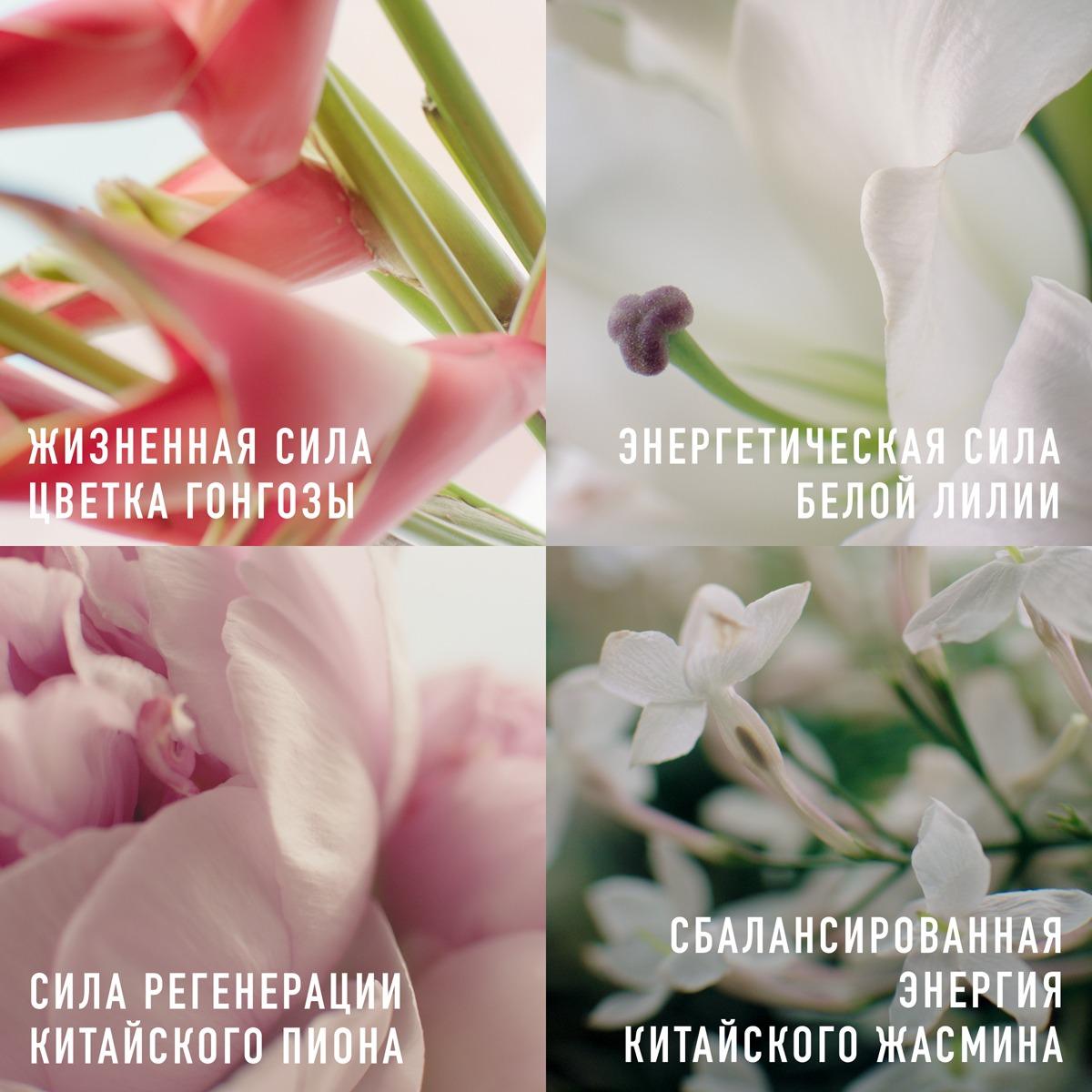 Крем для лица и шеи корректирующий морщины Capture Totale C.E.L.L. Energy купить в VISAGEHALL