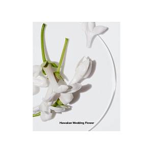 Happy femme Парфюмерная вода 